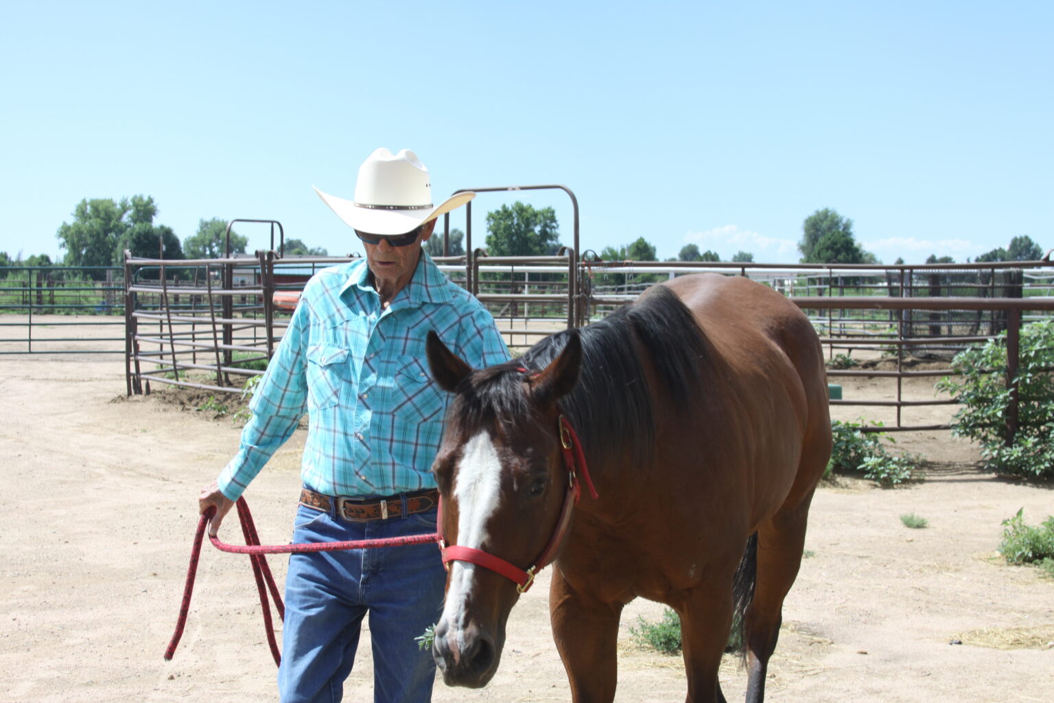 Hank Hankins leading a horse